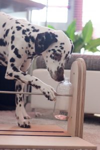 Hundebeschäftigung Intelligenzspielzeug Denkspiel aus Holz für Hunde Mentra Denkspielset