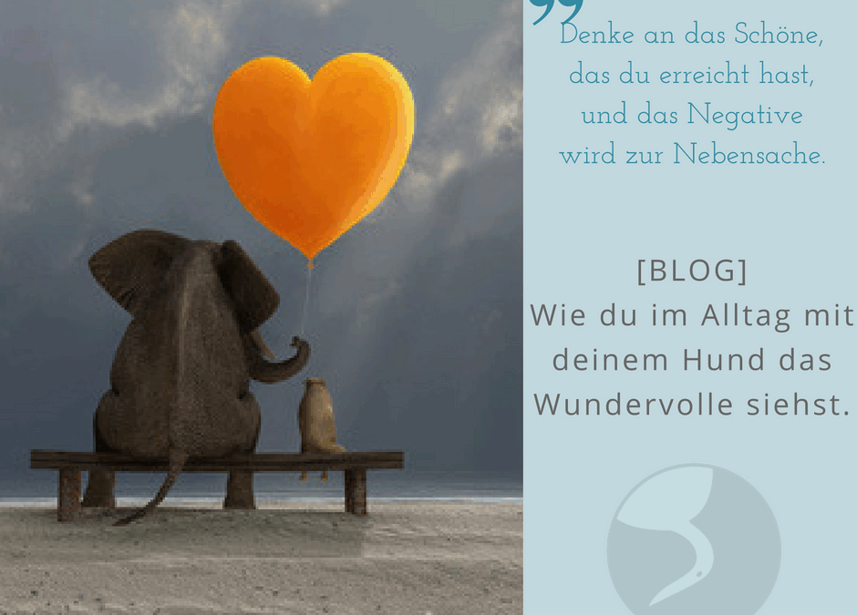 Glücklich im Alltag mit Hund Achtsamkeit als Hundehalter glücklicher