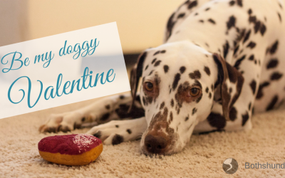 Be my doggy Valentine