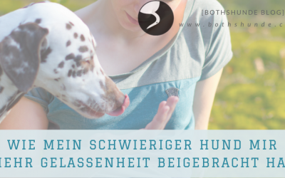 Wie mein schwieriger Hund mir mehr Gelassenheit beigebracht hat