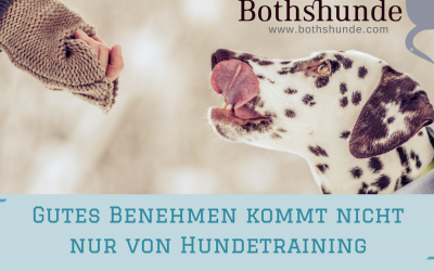 Warum gutes (Hunde)Benehmen nur wenig mit Training zu tun hat