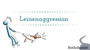 Hund rastet an der Leine aus Leinenaggression Webinar Tipps Hundeerziehung