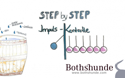 Step by Step: Impulskontrolle für deinen hyperaktiven Hund