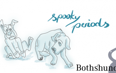 Spooky Periods – wenn junge Hunde sich gruseln