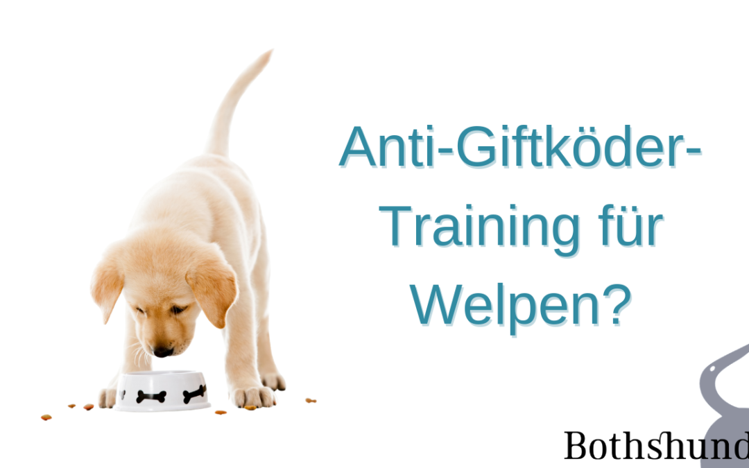 orale Phase beim Hund Anti-Giftköder-Training Welpen