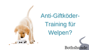 orale Phase beim Hund Anti-Giftköder-Training Welpen