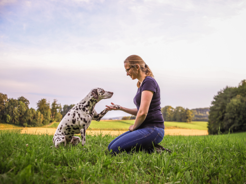 Sarah mit Alma auf der Wiese