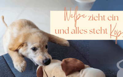 Wenn der Welpe einzieht – und plötzlich alles Kopf steht