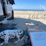 Digitaler Minimalismus als Onlineunternehmer geht das auch als Hundetrainer?