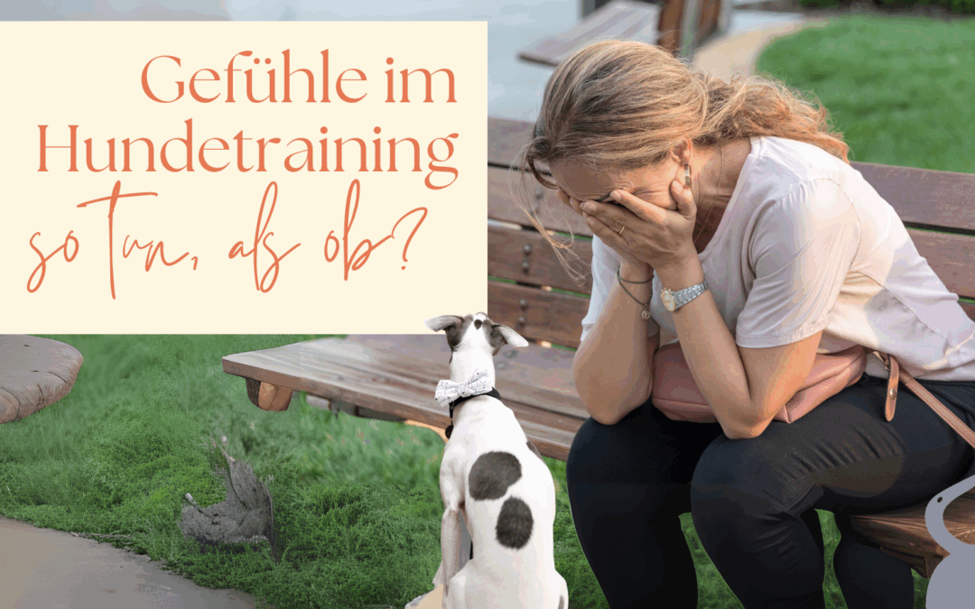 Gefühle im Hundetraining