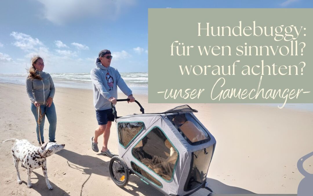 Hundebuggy: für wen ist er sinnvoll, unsere Erfahrungen, Hund dran gewöhnen und Modellvergleich