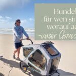 Hundebuggy am Strand, Hundebuggy für große Hunde