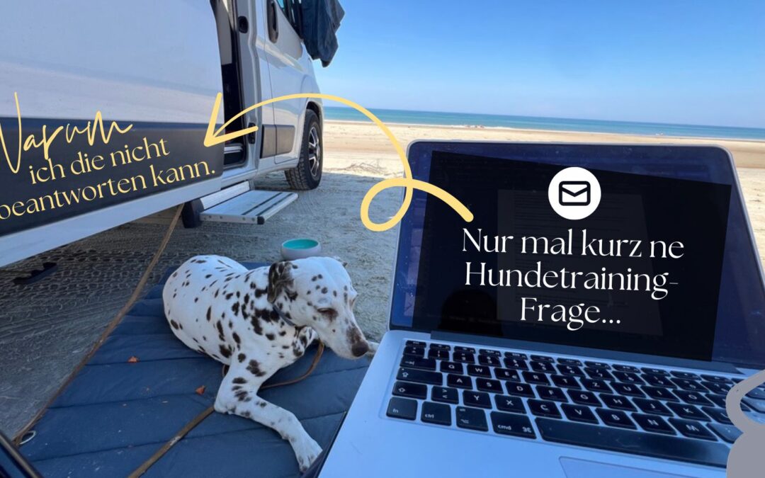 Hundetraining Fragen per Mail