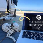 Hundetraining Fragen per Mail