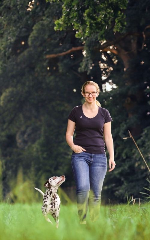 Entspannte Spaziergänge mit Hunden Onlinekurs