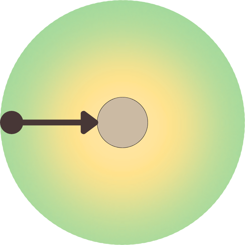 Hundetraining das an der Oberfläche kratzt