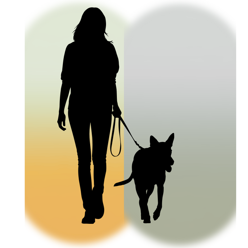 Veränderungen im Onlinekurs