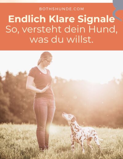 Signale für Hunde auf Spaziergängen
